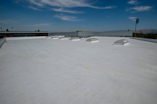 Best Skylight Installation and Repair  in Mount Ayr, IA