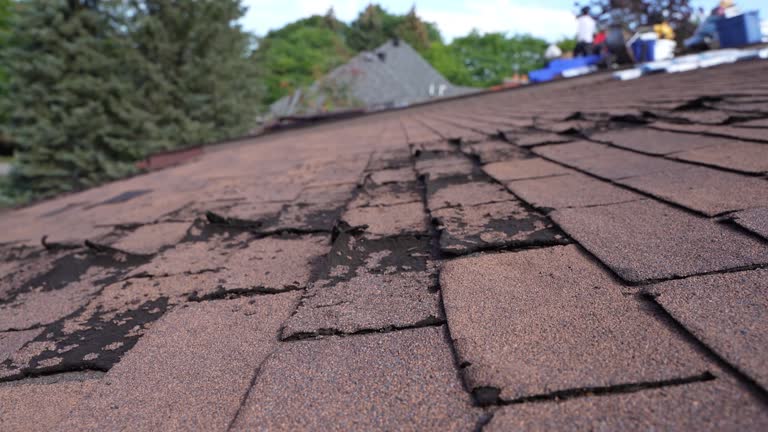 Mount Ayr, IA Roofing Service Company