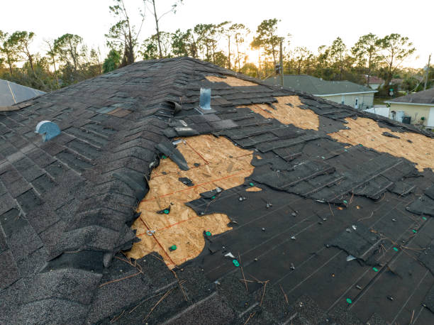 Best Roof Maintenance and Cleaning  in Mount Ayr, IA