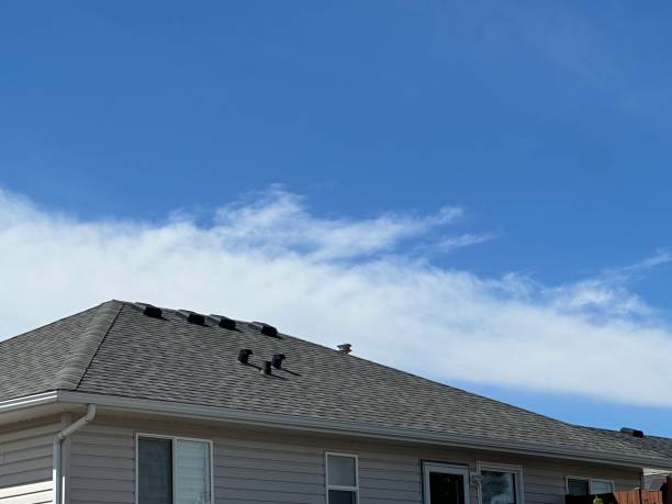 Best Storm Damage Roof Repair  in Mount Ayr, IA